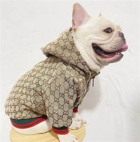 gucci rain jacket dog|Gucci dog jacket sale.